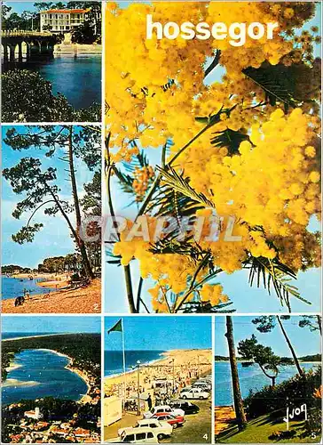 Cartes postales moderne Hossegor (Landes) Couleurs et Lumiere de France Le Canal La Plage du Bourret Le Lac Martin au fo