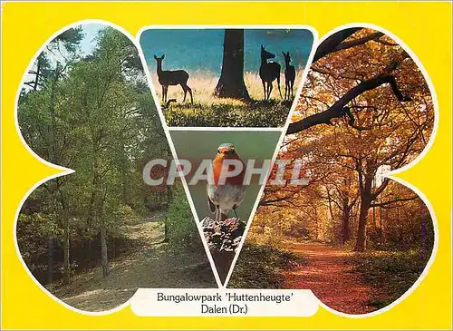 Cartes postales moderne Bungalowpark de Huttenheugte van Center Parcs de Nieuwe naam van Sporthuis Centrum