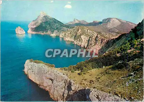 Cartes postales moderne Mallorca Formentor Detail de la Plage et Es Colomer