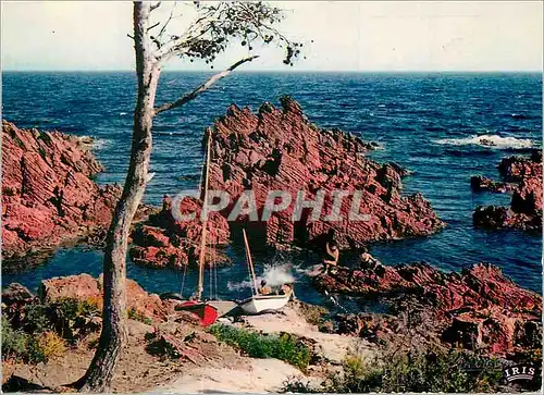 Cartes postales moderne Reflets de la Cote d'Azur La Petite Calanque