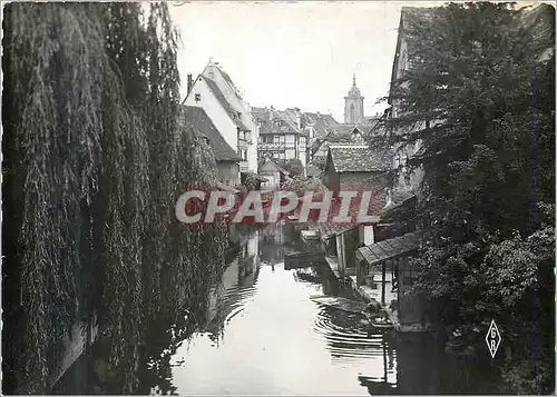 Cartes postales moderne Colmar (Haut Rhin) La Petite Venise