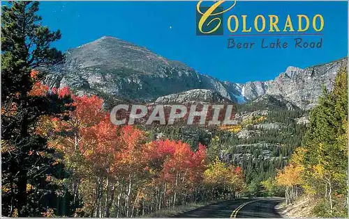 Cartes postales moderne Colorado Bear Lake Road