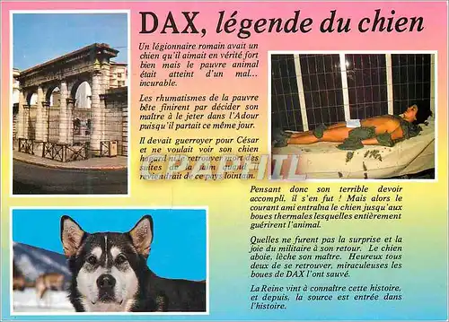 Cartes postales moderne Dax Legende du chien
