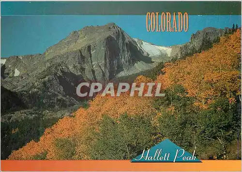 Cartes postales moderne Colorado Hallett Peak Fall Leaves Cover Tree Tops as Pines in the Distance Stand Tall and Green