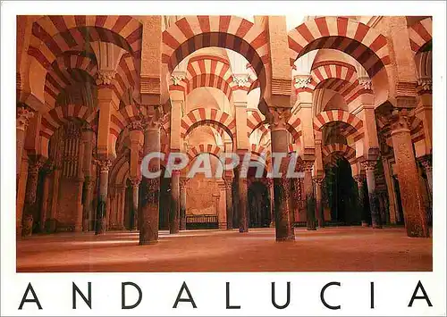 Moderne Karte Andalucia la Mezquita de Cordoba