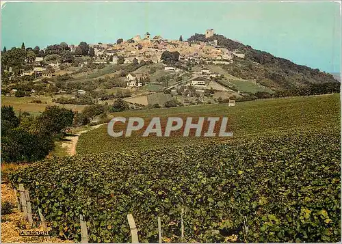 Cartes postales moderne Sancerre (Cher) Situe sur une Butte Entouree de ses Celebres Vignobles
