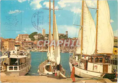 Cartes postales moderne Cannes un Coin du Port vue sur le Suquet Bateaux