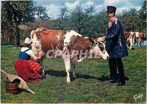 Cartes postales moderne La Normandie la Traite Folklore de France Blaudes et Coeffes Groupe de Pont d'Ouilly Calvados  V