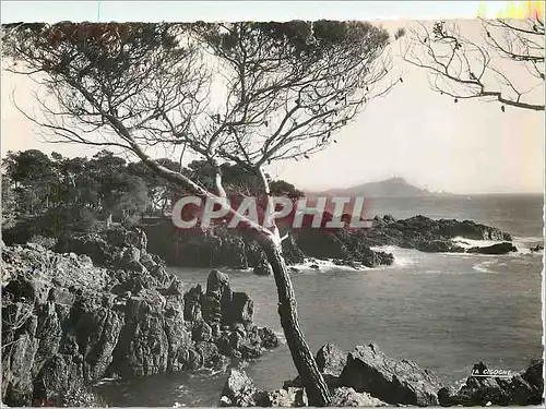 Cartes postales moderne Saint Raphael (Var) les Calanques de Santa Lucia
