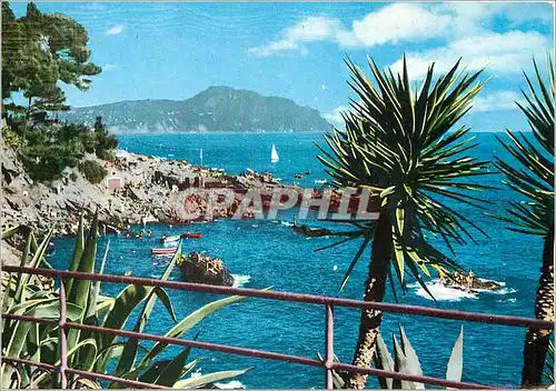Cartes postales moderne Nervi Golfe Paradis