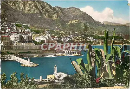 Cartes postales moderne Monaco l'Entree du Port