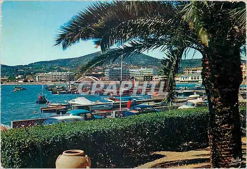 Moderne Karte Sainte Maxime (Var) la Cote d'Azur Varoise un coin du Port a Travers les Palmiers Bateaux