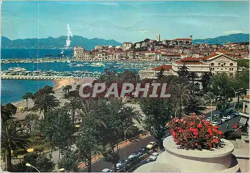 Cartes postales moderne Cannes la Cote d'Azur un Coin de la Croisette vue sur le Pont et le Suquet