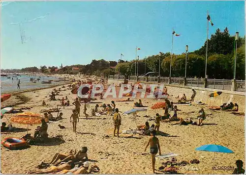 Cartes postales moderne Andernos (Gironde) la Plage