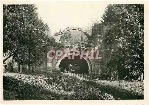 Cartes postales moderne Niedermunster (Bas Rhin) Ruine de l'Abbaye (XIIe siecle)