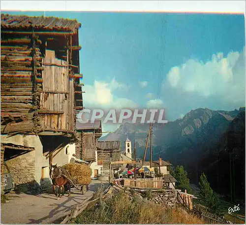 Cartes postales moderne Saint Veran 2040m Vallee de Queyras Dauphine Alpes du Sud Reflets de France Attelage Cheval