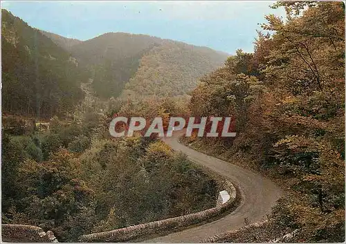 Cartes postales moderne Notre Auvergne Touristique en Flanant