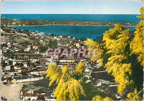 Cartes postales moderne Vallauris La Cote d'Azur vue Generale