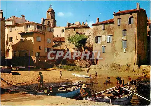 Cartes postales moderne Lumiere et Beaute de la Cote d'Azur Saint Tropez Pittoresque Port de la Ponche Peche