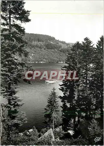 Cartes postales moderne Gerardmer Echappee sur le Lac