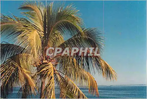Cartes postales moderne Plage
