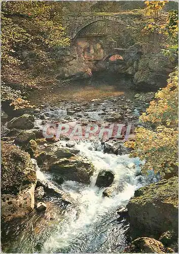 Cartes postales moderne Route des Alpes en automne un vieux pont moussu enjambe le torrent