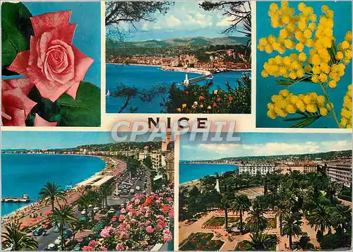 Cartes postales moderne Nice