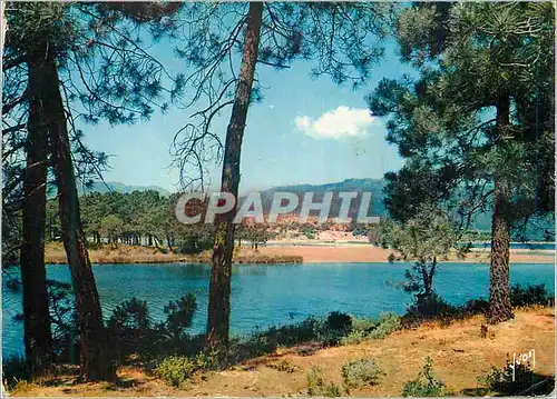 Cartes postales moderne La Corse oasis de Beaute Porto Vecchio Les Bords du golfe Comparables a de veritables