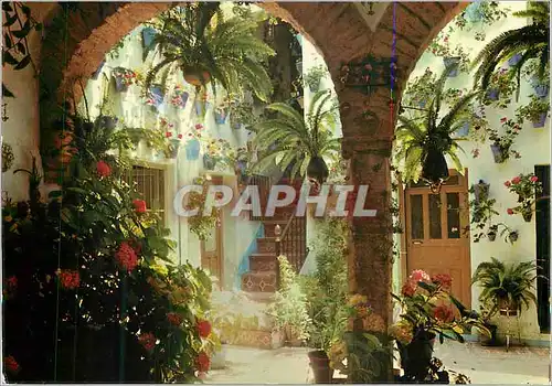 Cartes postales moderne Espana es Diferente