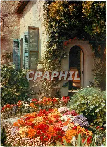 Cartes postales Couleurs et Lumiere de France La Cote d'Azur Miracle de la nature Jardin fleuri de la cote d'Azu