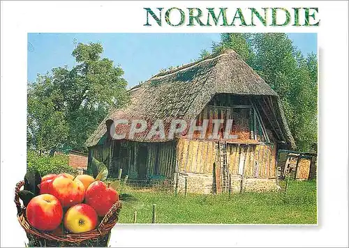 Cartes postales Normandie Paysage Pommes