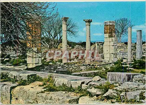 Moderne Karte Ephesus Basilique Ste Marie et du Concile