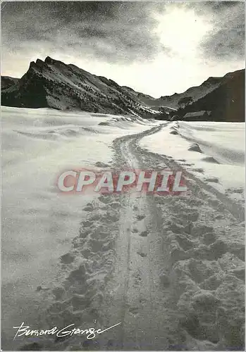 Cartes postales moderne Un certain regard