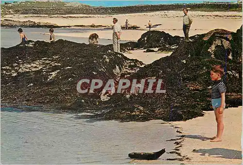 Cartes postales moderne Coral Strand Mannin Bay Ballyconneely
