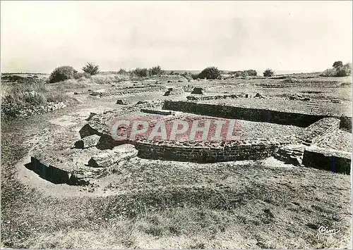 Cartes postales moderne Fouilles d'Alesia (Alise Sainte Reine Cote d'Or) Au lieu dit Le Cimetiere Saint Pere