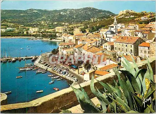 Cartes postales moderne La Corse Oasis de Beaute Calvi Du haut de la Citadelle on contemple Le Port et les Yachts amarre