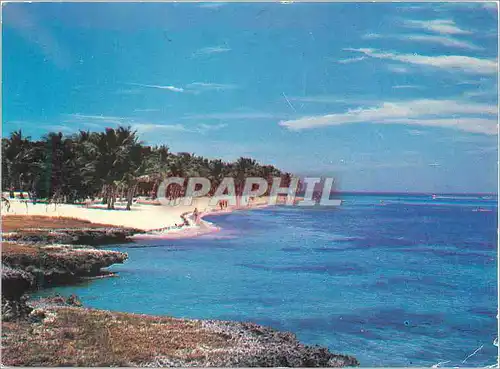 Cartes postales moderne Plage Punta Cana