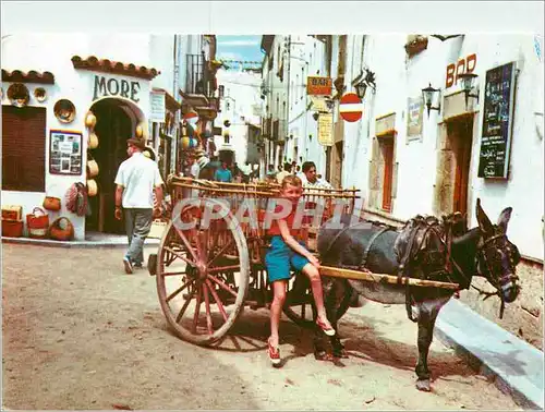 Cartes postales moderne Catalura Tipica Le repartiteur de rafraichissement Ane Donkey