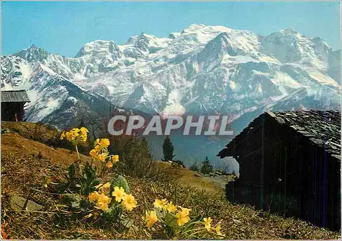 Cartes postales moderne Au Pays du Mont Blanc que de poesie et de contrastes a chaque pas Massif du Mont Blanc