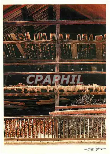 Cartes postales moderne Queyras Fuste a Pierre Grosse