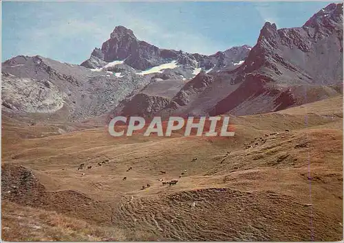 Cartes postales moderne Ste Veran(Htes Alpes) La Tete des Toillies et les Cornes de la Noire