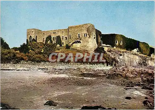 Cartes postales moderne Chausey le vieux Fort