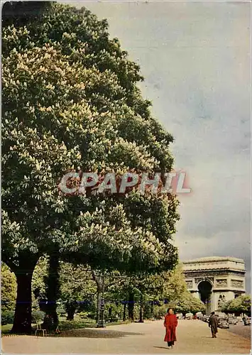 Cartes postales moderne Paris Printemps a Paris avenue foch