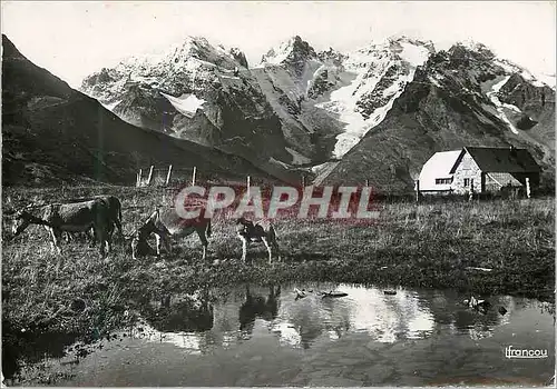 Cartes postales moderne Col du Lautaret La Meije et le Gaspard Ane Donkey