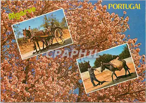 Moderne Karte Portugal Algarve Ane Donkey