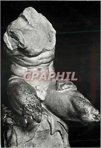 Cartes postales moderne Citta Del Vaticano Musee Torse dit du Belvedere