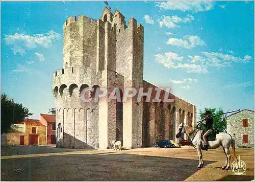 Cartes postales moderne La Camargue Saintes Maries de la Mer L'Eglise forteresse Cheval
