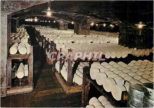 Cartes postales moderne Roquefort Une cave de Roquefort Societe