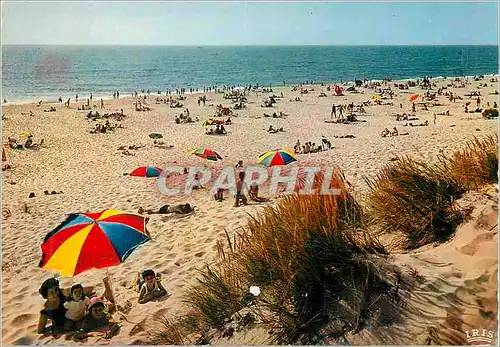 Moderne Karte Cote d'Argent La plage au bord de l'Ocean