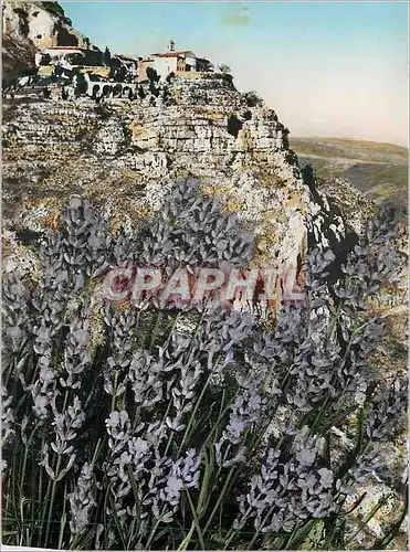 Cartes postales moderne Gourdon (AM) La Lavande